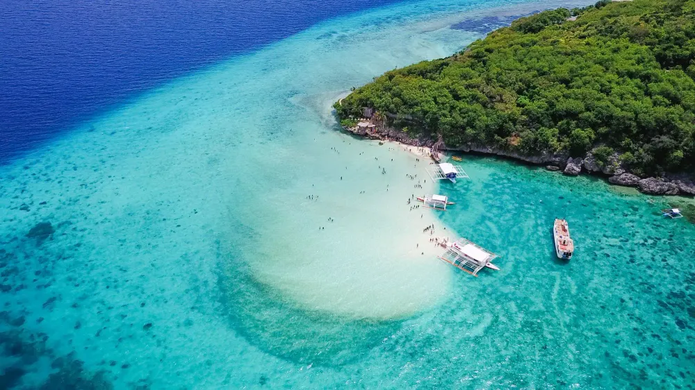 Oslob Things to Do